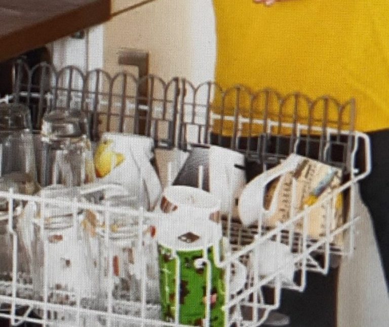 Haushaltshilfe bei Küchenarbeiten Haushaltshilfe räumt Geschirr in die Spülmaschine - Job bei Home Service Berlin